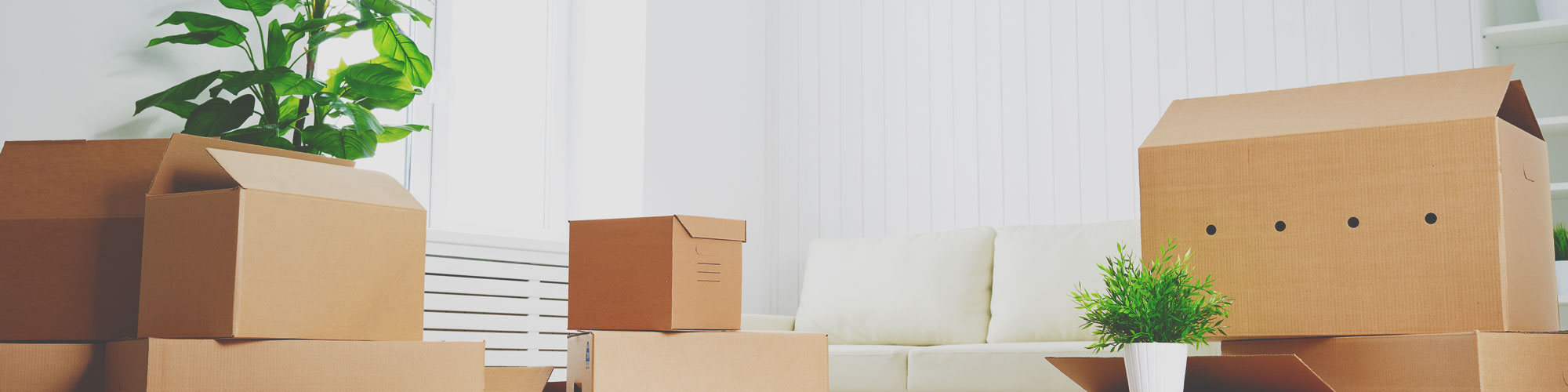 Moving Boxes